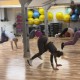 HIIT